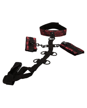 Scandal Collar Body Restraint