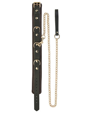 Spartacus Collar & Leash - Brown Leather W/gold Accent Hardware