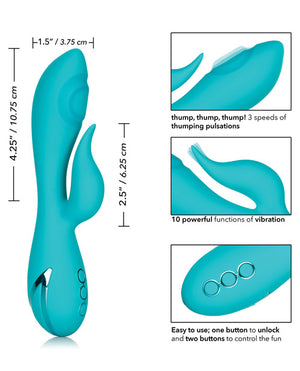 12406340.jpg