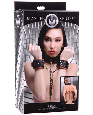 Master Series Coax Collar To Wrist Restraints - Black